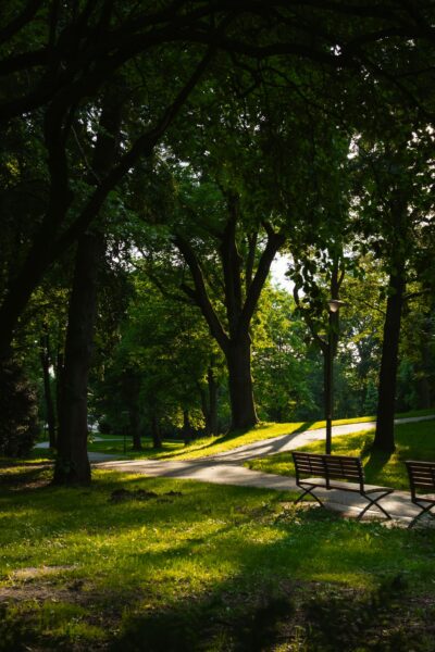 律法の真の意味 율법의 참된 의미